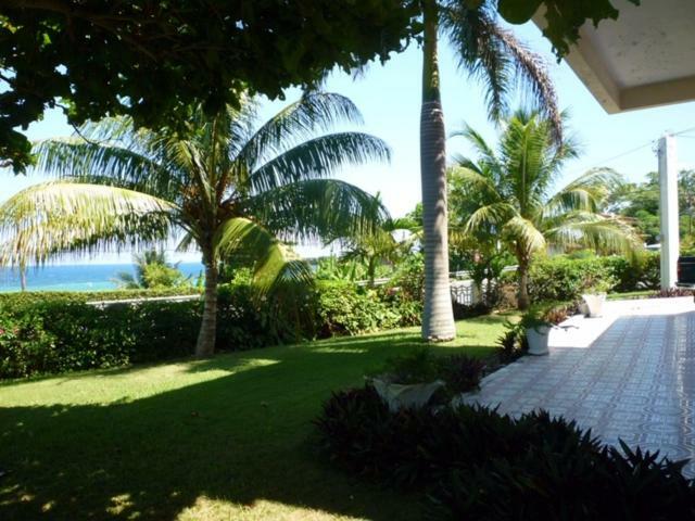 Goldenview Guesthouse Ocho Rios Zewnętrze zdjęcie